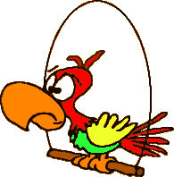 41dbcd4132_51375602_o2