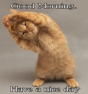 have-a-nice-day-111.jpg