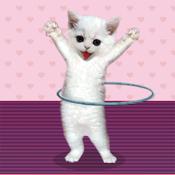 gato_bambole
