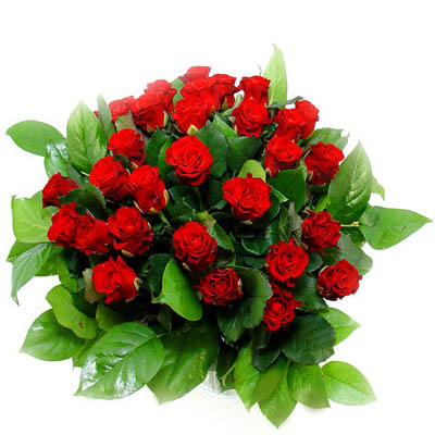 _vyrn_1930-rudych-ruzi