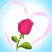 02b70070ca_51375586_o2